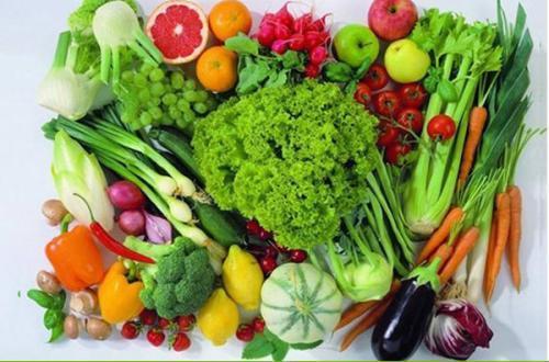 守護餐桌，從田間到食堂——一家蔬菜運輸公司的新鮮與安全之道